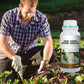 Rapid Strong Rooting Fertilizer
